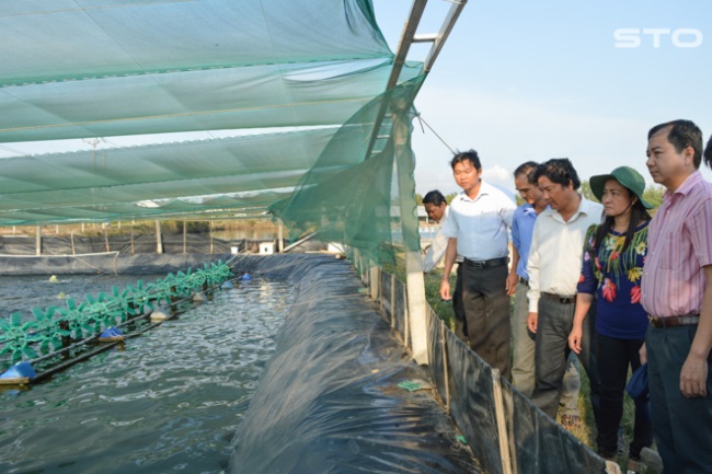 Mùa tôm mới – kỳ vọng mới