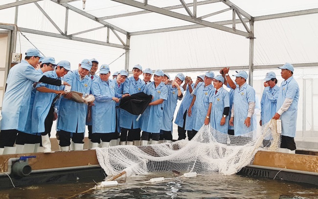 Hướng đi nào cho con cá tra