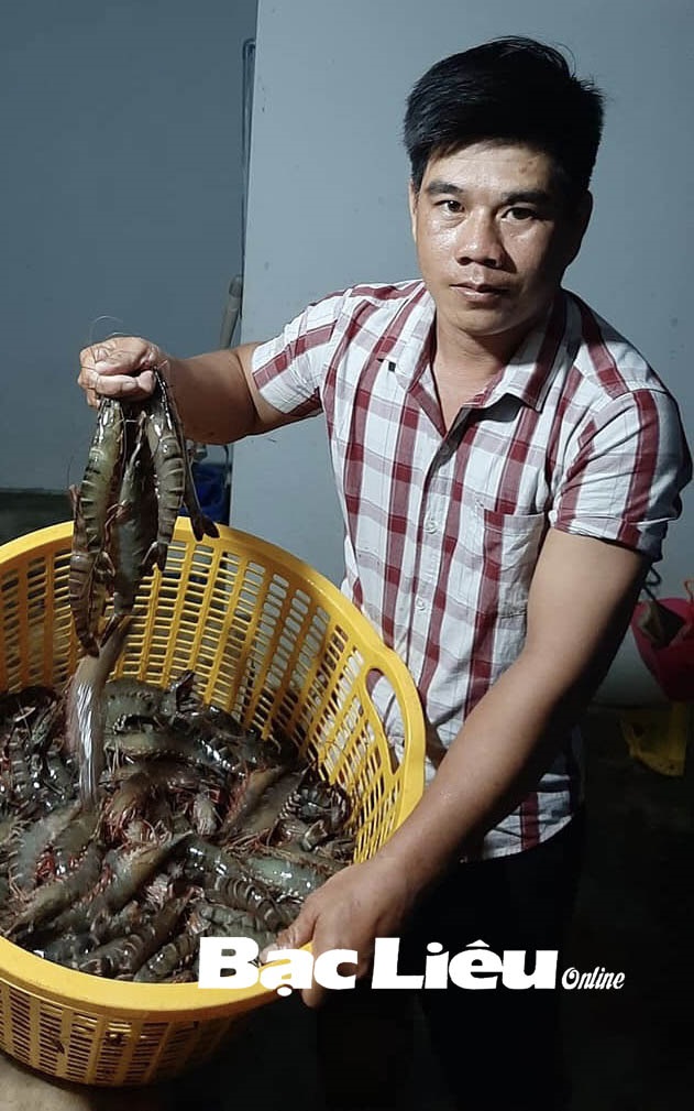 Huyện Đông Hải (Bạc Liêu) mô hình nuôi tôm gắn với bao tiêu sản phẩm