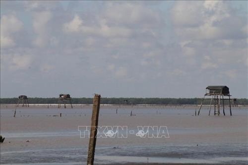 Tiền Giang khuyến cáo nông dân phòng ngừa dịch bệnh cho nghêu