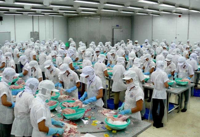 An Giang Hàng ngàn lao động ngành thủy sản, giao thông bị ảnh hưởng