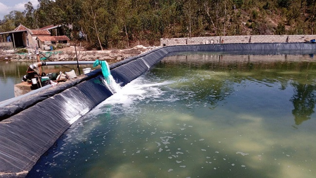 Xử lý chất thải ao nuôi thủy sản bằng lọc nước cơ học