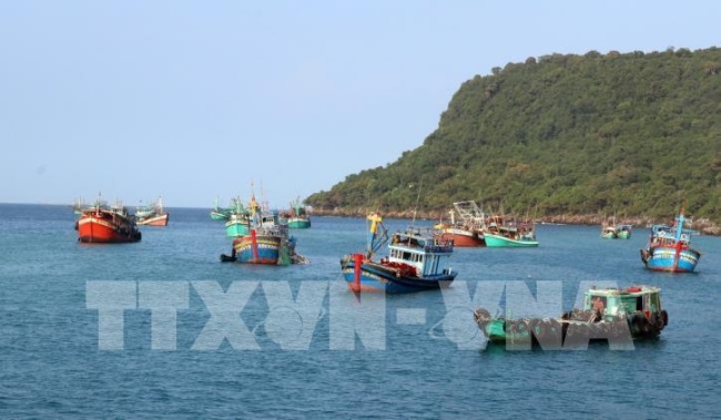 Phát triển bền vững nghề cá - Bài 2 Chuyển hướng sản xuất