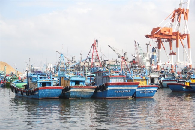 Bình ĐịnhLắp đặt hệ thống giám sát hành trình cho tất cả tàu cá trước 14