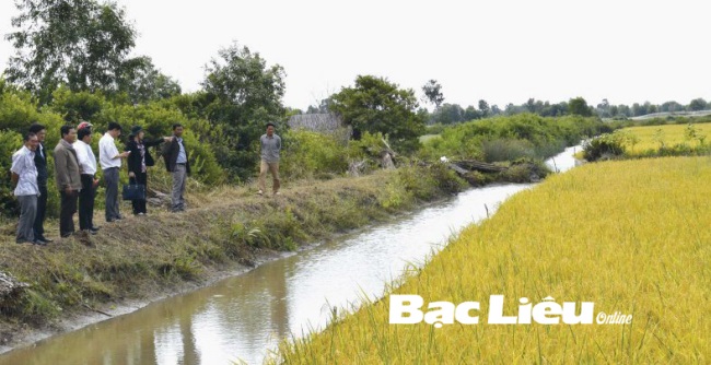 TX. Giá Rai (Bạc Liêu) Nhân rộng mô hình lúa - tôm
