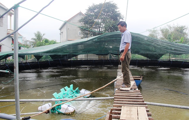 Quảng Bình Người mở hướng nuôi tôm công nghệ cao ở Quảng Trạch