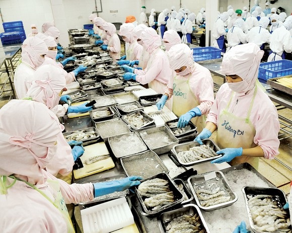 An Giang Nhiều lao động phải tạm dừng việc