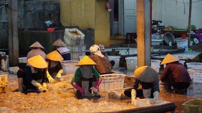 Quận Đồ Sơn Tổng giá trị khai thác thủy sản ước đạt 114.570 triệu đồng