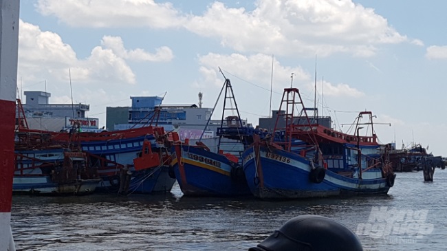 Cà Mau Cần kiểm soát tàu cá triệt để hơn