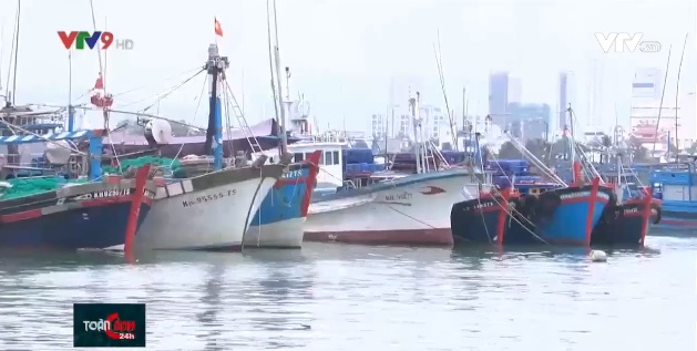 Giá hải sản giảm mạnh, hàng loạt tàu cá phải neo bờ