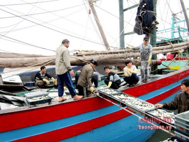 Ngư dân Miền Trung được mùa đánh bắt thủy sản