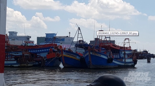 Ngư dân Cà Mau tích cực lắp đặt thiết bị giám sát hành trình tàu cá