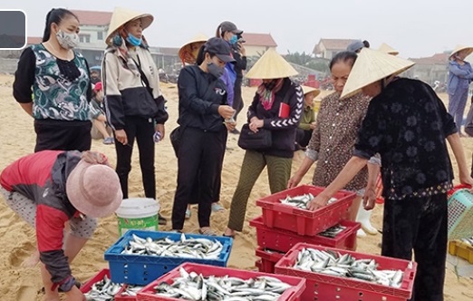 Quảng Bình Ngư dân bãi ngang được mùa vụ cá nam