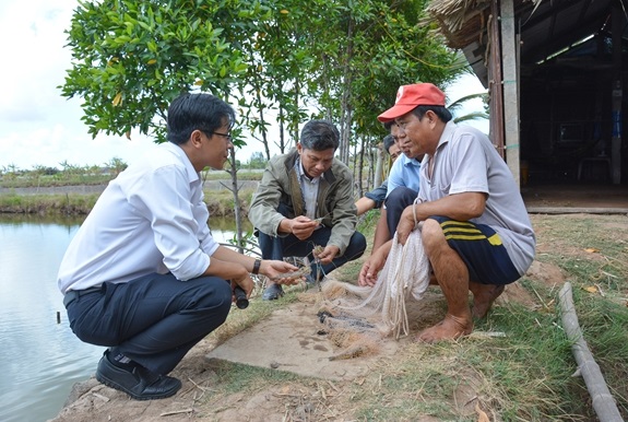 Thu nhập cao từ mô hình lúa - tôm