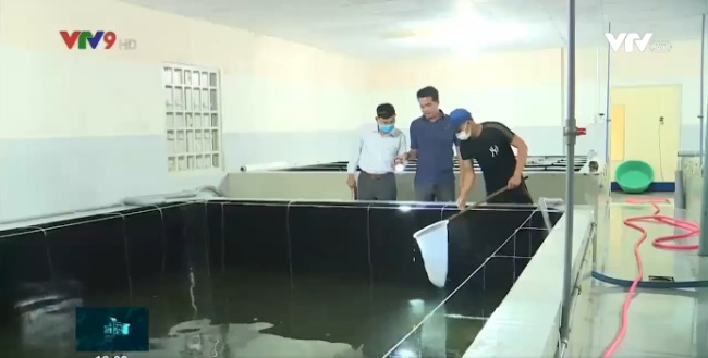 Quy hoạch vùng sản xuất thủy sản gắn với chiến lược phát triển kinh tế biển bền vững