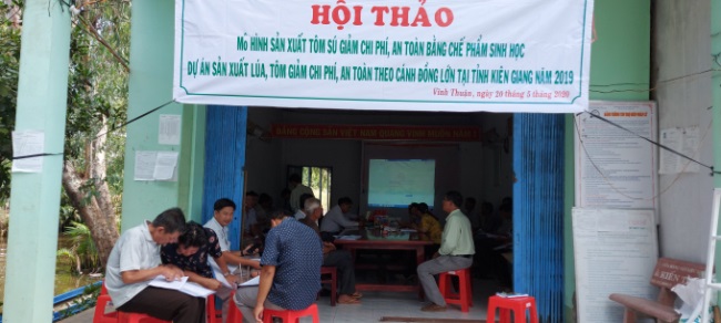 Hiệu quả mô hình sản xuất lúa, tôm giảm chi phí, an toàn cánh đồng lớn