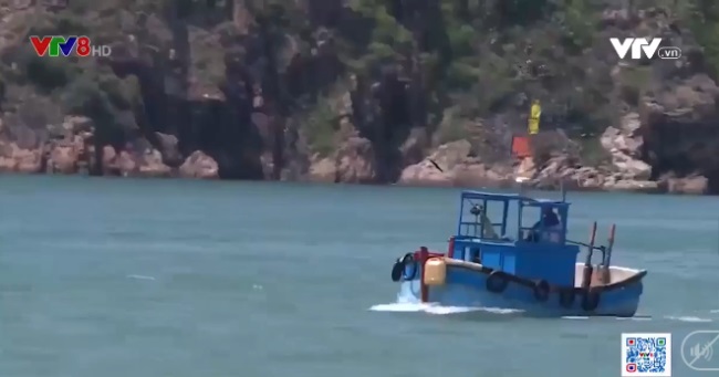 Bình Định Mở đợt cao điểm chống khai thác thủy sản bất hợp pháp