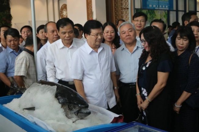 Đưa cá tra đến với người tiêu dùng nội địa