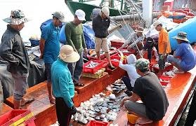 Tổ chức thực hiện hiệu quả Hiệp định về biện pháp ngăn chặn khai thác thủy sản bất hợp pháp