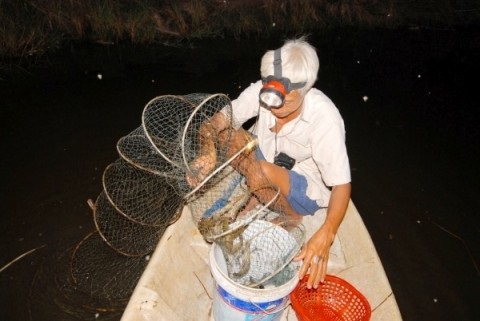 Làm giàu nhờ nuôi tôm quảng canh