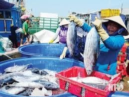 Gỡ khó cho ngư dân sau thời kỳ Covid-19