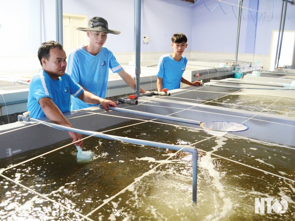 Tín hiệu mừng cho tôm giống Ninh Thuận