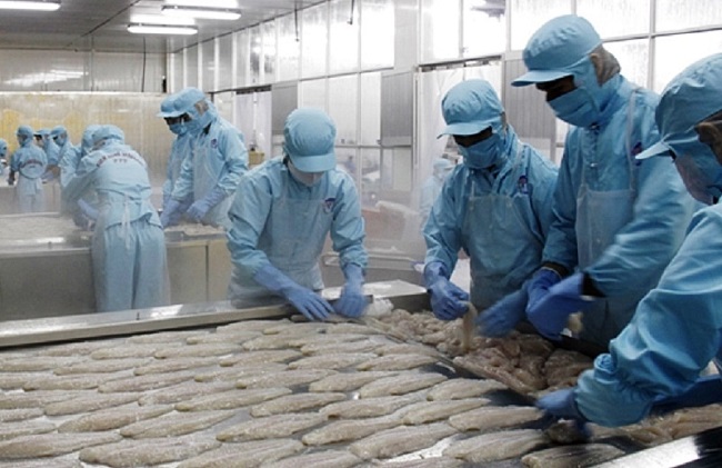 Xuất khẩu cá tra vào Mỹ Phải có chiến lược bán hàng phù hợp