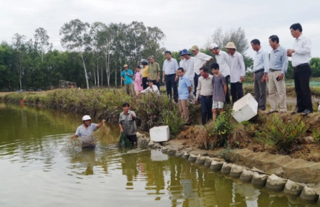 Nuôi thủy sản thích ứng biến đổi khí hậu