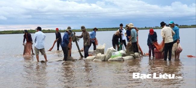 Bạc Liêu Hợp tác xã Nuôi nghêu Đồng Tiến Tái sản xuất sau dịch COVID-19