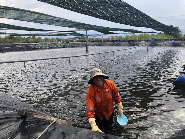 Nuôi tôm công nghệ cao trong ruộng muối, nông dân ở thành phố này là tỷ phú