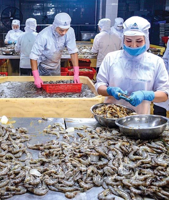 Sức đề kháng mạnh mẽ của ngành Thủy sản