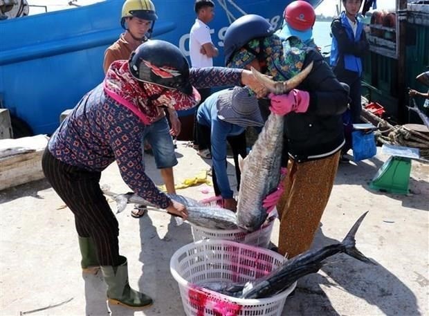 Khắc phục thẻ vàng IUU Nỗ lực đồng lòng giữa các địa phương