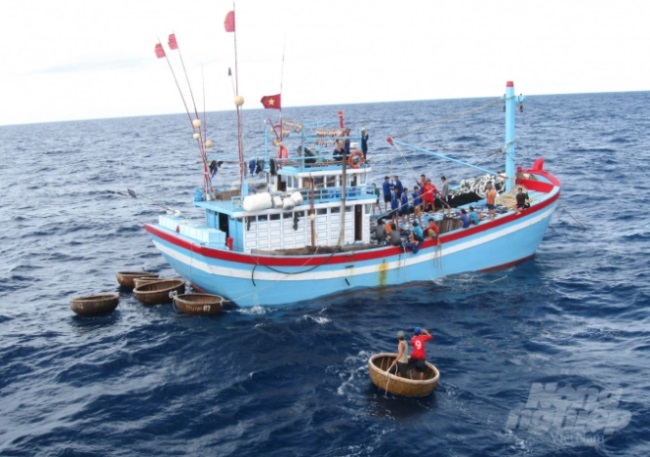 Bình Định Mạnh tay hơn trong công tác chống khai thác IUU