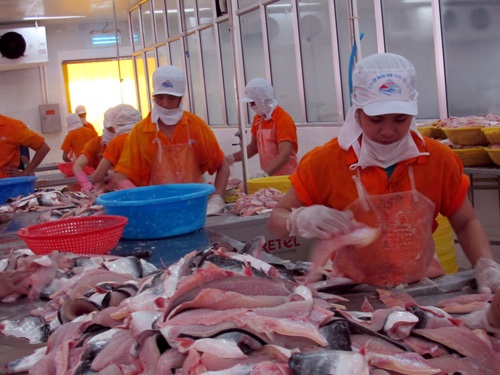 Thương mại Việt Nam - Israel Khoảng cách nhập siêu dần thu hẹp