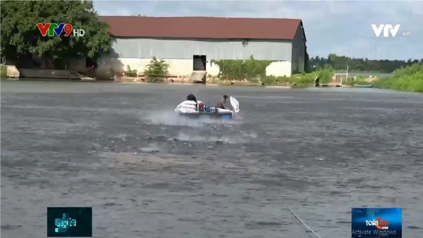 Cá tra bơi về đâu giữa mùa Covid-19