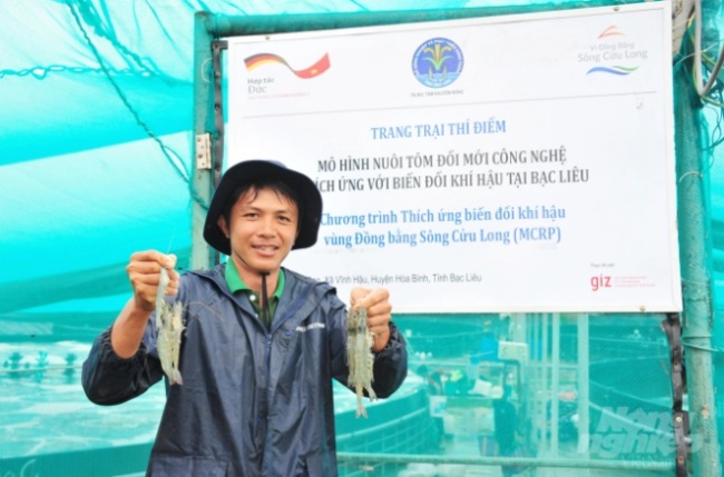 Nuôi tôm siêu thâm canh thích nghi biến đổi khí hậu