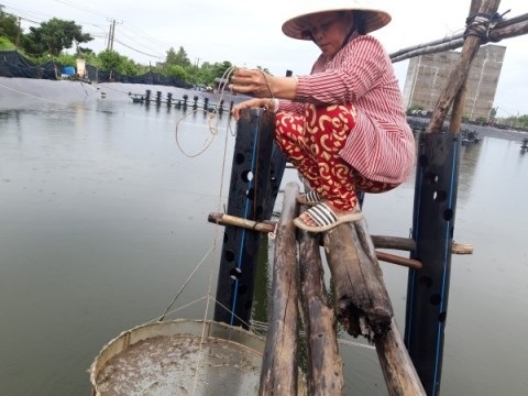 Thành phần dinh dưỡng trong thức ăn nuôi tôm