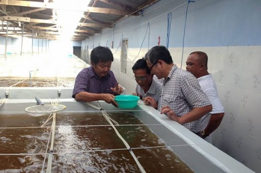 Quản lý, kiểm dịch chất lượng tôm giống