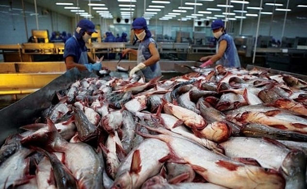 Lối thoát nào cho cá tra thoát khó