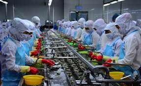 Cà Mau 09 doanh nghiệp đạt danh hiệu ‘Doanh nghiệp xuất khẩu uy tín’ năm 2019