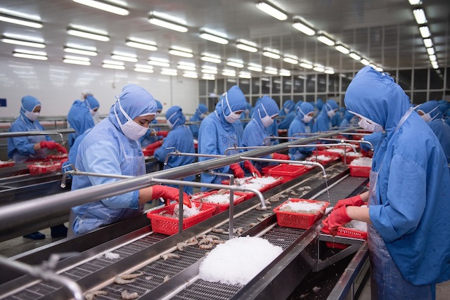 Làm gì để tôm và cá tra tránh rủi ro cấm cửa