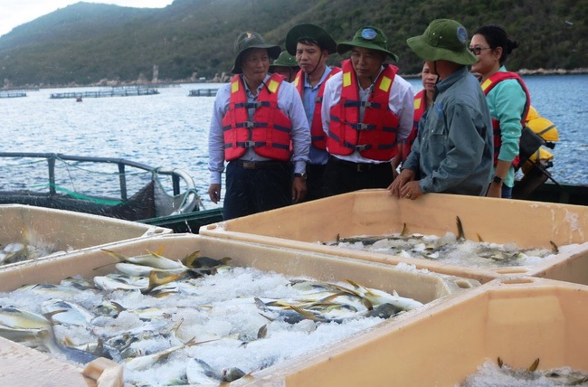 Chiến lược phát triển thủy sản Yếu công nghệ, lo đầu ra cho tôm cá