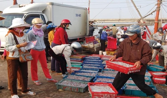 Quảng Trị Khai thác thủy sản 9 tháng đầu năm ước đạt gần 24.000 tấn