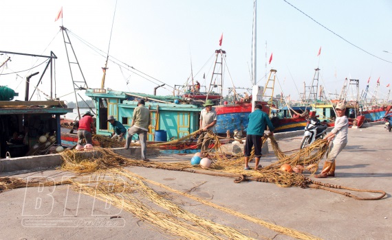 Thái Bình phát huy tiềm năng, lợi thế từ biển