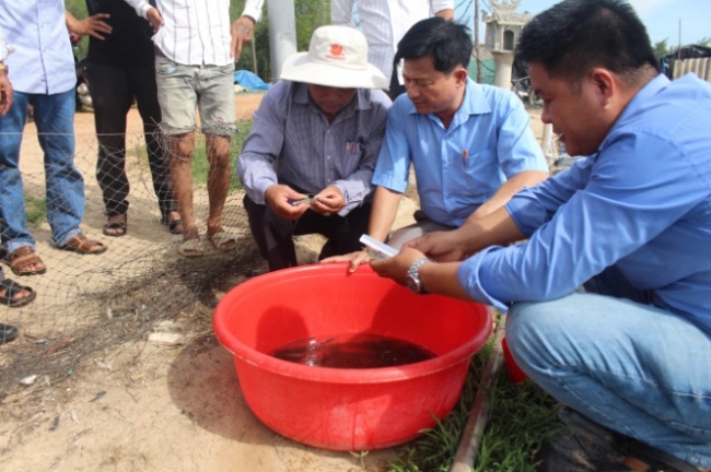 Quảng Trị Nuôi tôm thẻ chân trắng thâm canh 3 giai đoạn