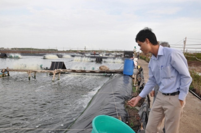 Thời của nuôi tôm công nghệ cao