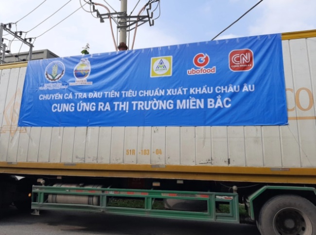 Cá tra tiêu chuẩn xuất khẩu Châu Âu Bắc tiến