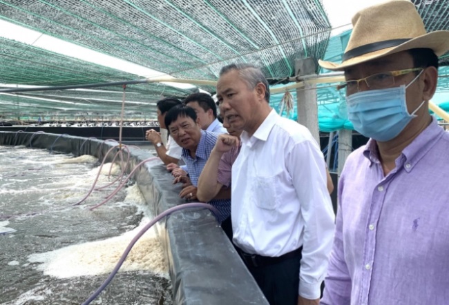 Vina Clearnfood đầu tư mạnh vào nuôi tôm công nghệ cao