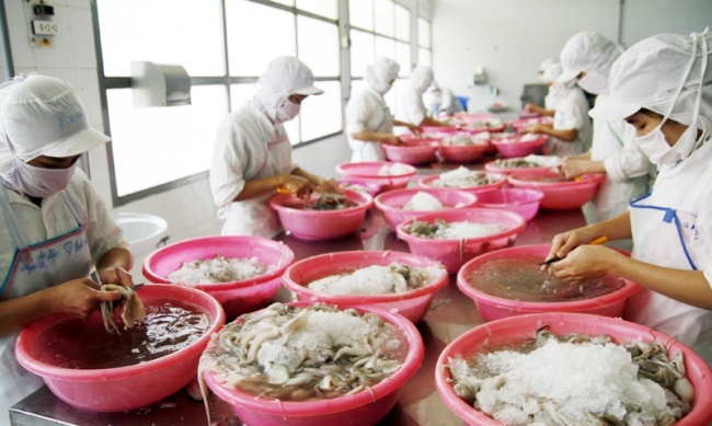 Xuất khẩu thủy sản Việt Nam “chạy nước rút” Kỳ vọng tăng trưởng từ EVFTA