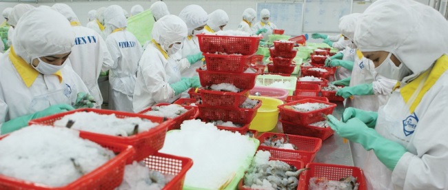 Ngành tôm cần tập trung vào hai việc lớn